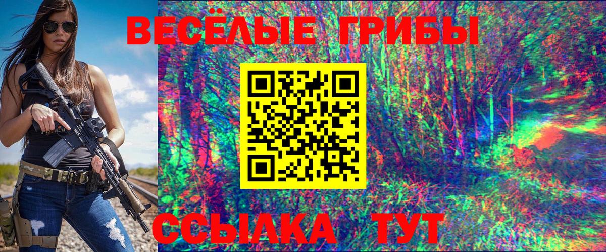Псилоцибиновые грибы прущие грибы  Псилоцибиновые грибы GOLDEN TEACHER  Алексин  Вход с VPN 